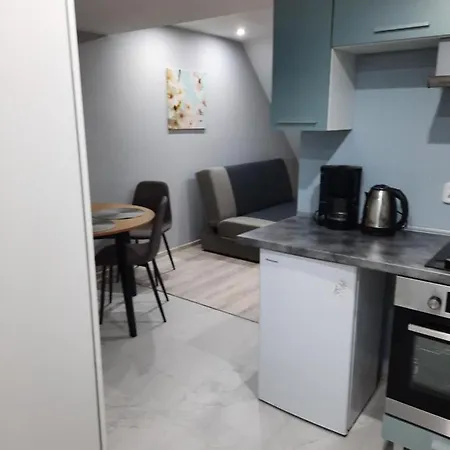 Mieszkanie Z Ogródkiem I Grillem Apartament